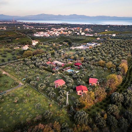 La Piana Degli Ulivi Bed & Breakfast Rossano Exterior photo
