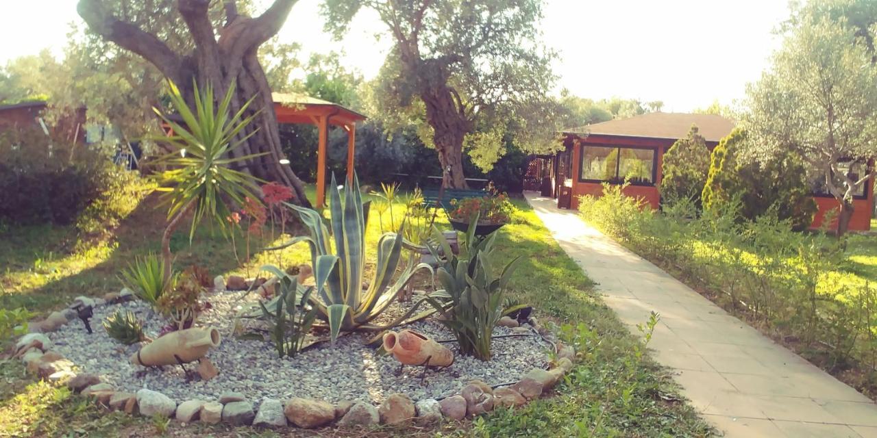 La Piana Degli Ulivi Bed & Breakfast Rossano Exterior photo