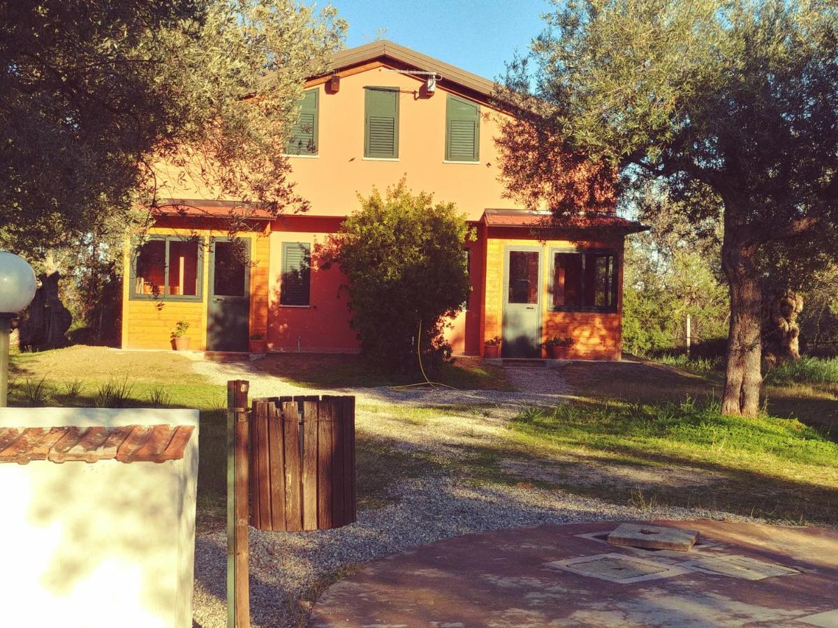 La Piana Degli Ulivi Bed & Breakfast Rossano Exterior photo