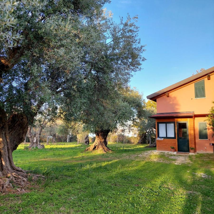 La Piana Degli Ulivi Bed & Breakfast Rossano Exterior photo