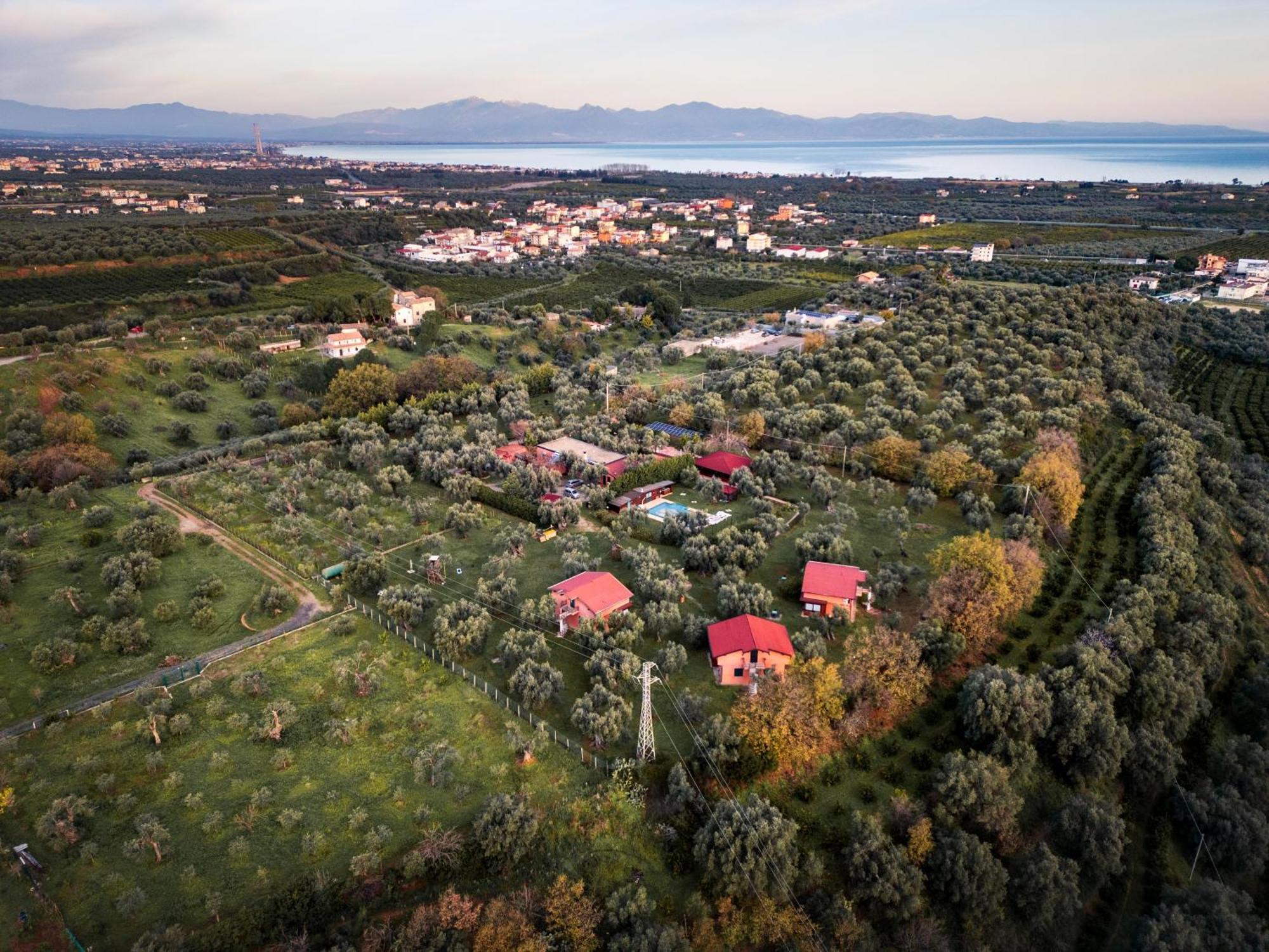 La Piana Degli Ulivi Bed & Breakfast Rossano Exterior photo